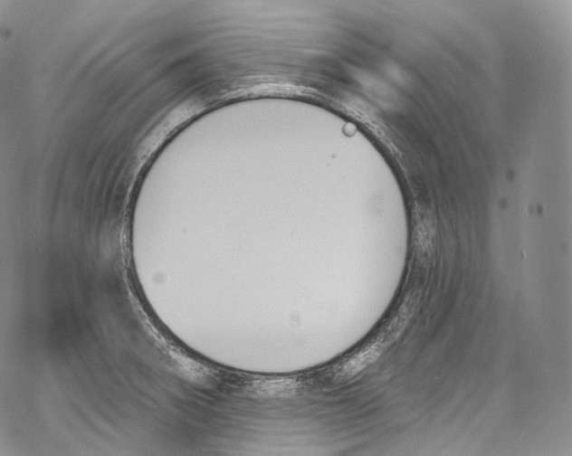 X0000069361282200606021444