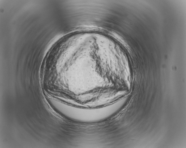 X0000069361283200606021444