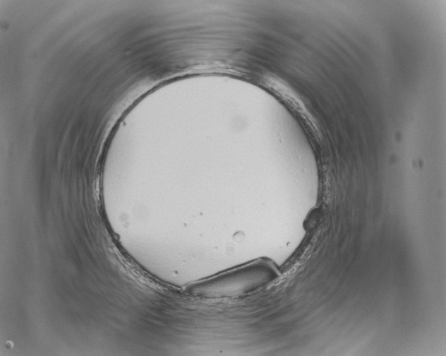 X0000069361284200606021444