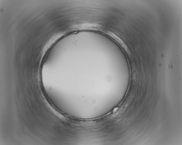 X0000069361285200606021444