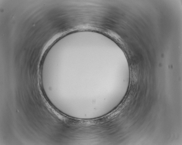 X0000069361286200606021444