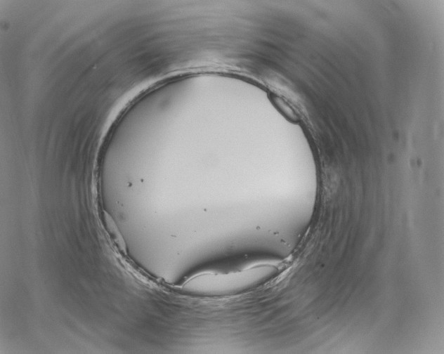 X0000069361288200606021444