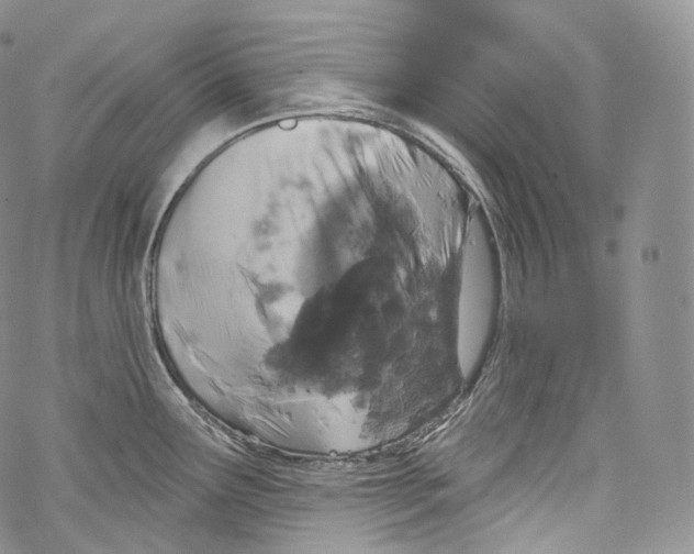 X0000069361291200606021444