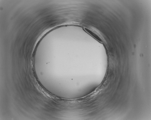 X0000069361292200606021444