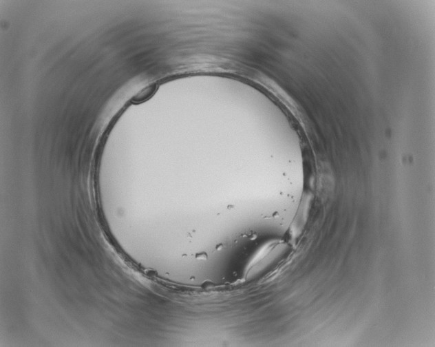 X0000069361293200606021444