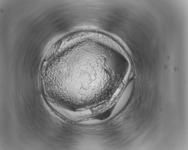 X0000069361295200606021443