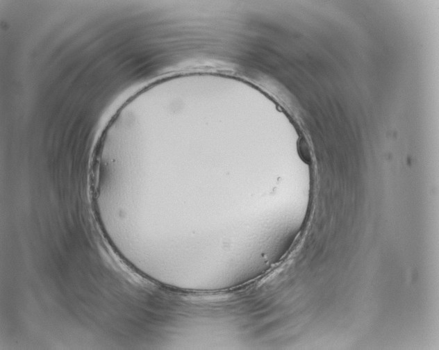 X0000069361296200606021443