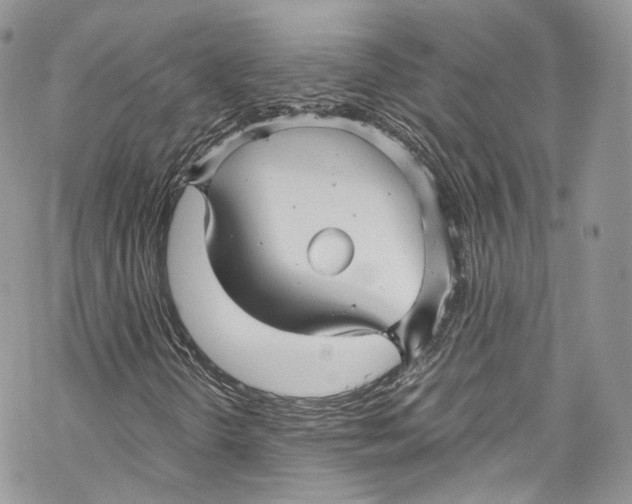 X0000069361298200606021443