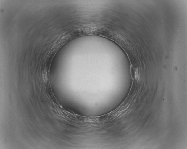 X0000069361299200606021443