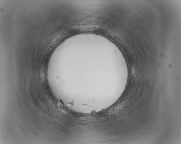 X0000069361300200606021443