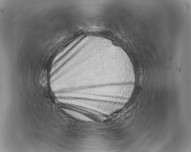 X0000069361301200606021443