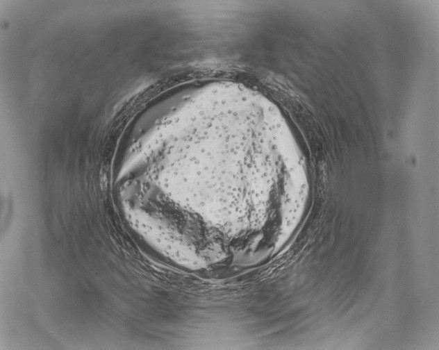 X0000069361302200606021443