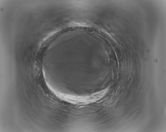 X0000069361303200606021443