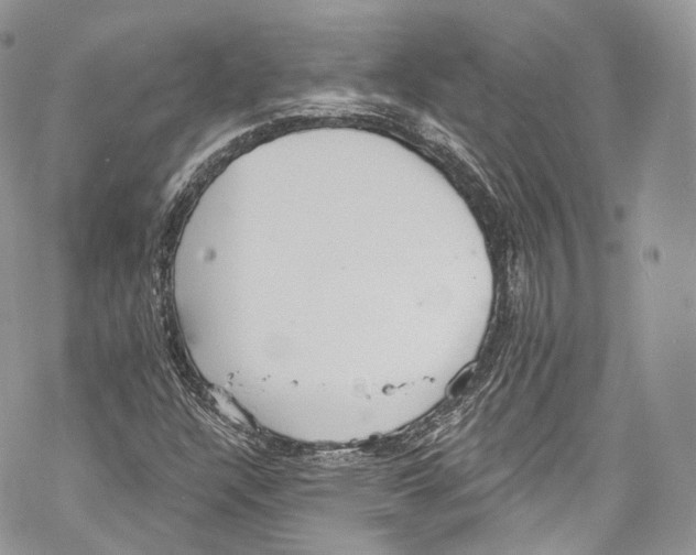 X0000069361304200606021443