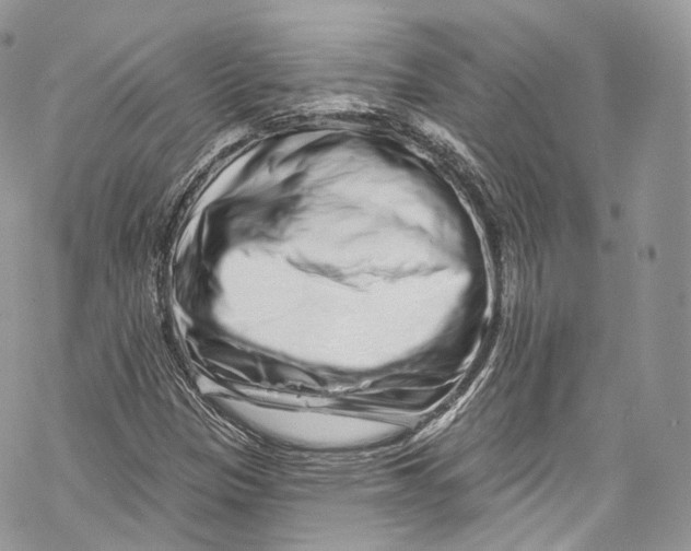 X0000069361305200606021443