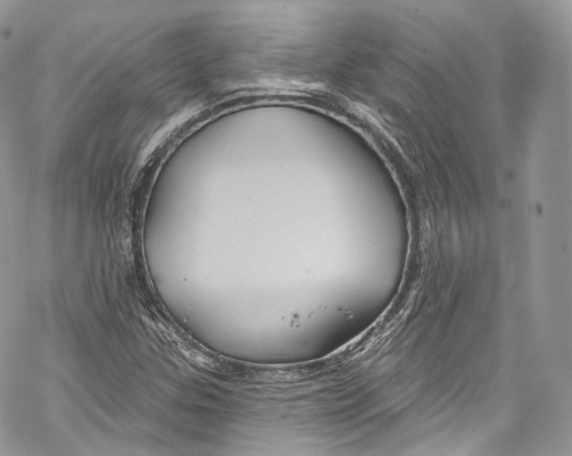 X0000069361307200606021443