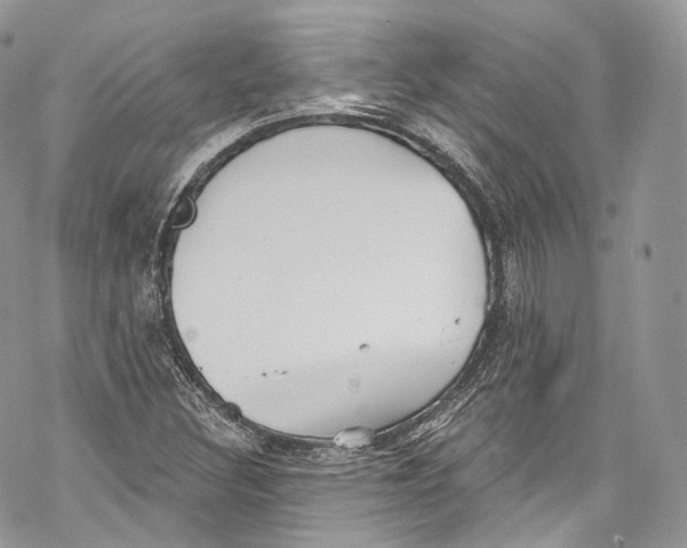 X0000069361308200606021443