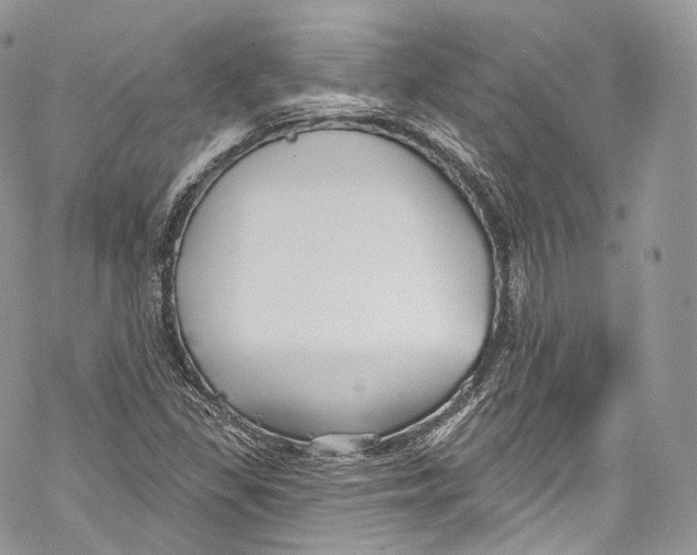 X0000069361309200606021443