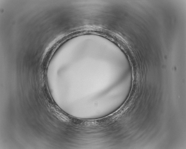 X0000069361310200606021443