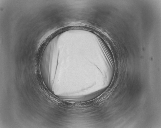 X0000069361311200606021443