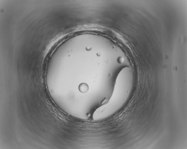 X0000069361312200606021443