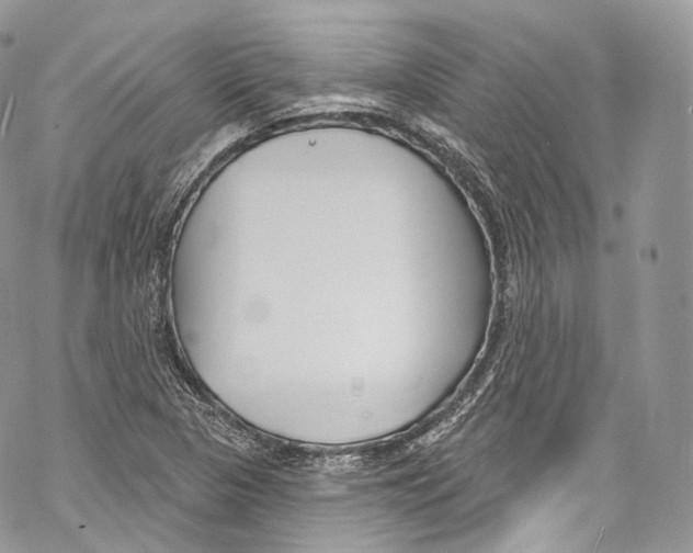 X0000069361313200606021443