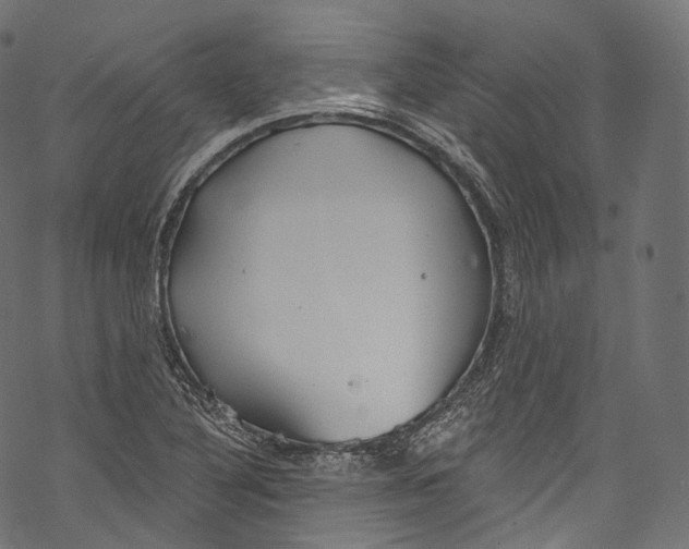 X0000069361316200606021443