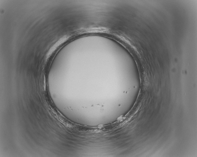 X0000069361317200606021443