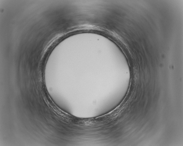 X0000069361318200606021443