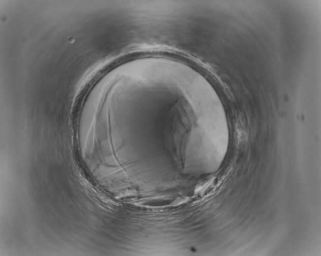 X0000069361319200606021443