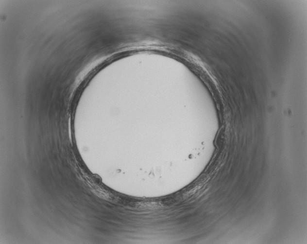 X0000069361320200606021443