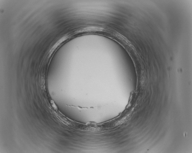 X0000069361321200606021443