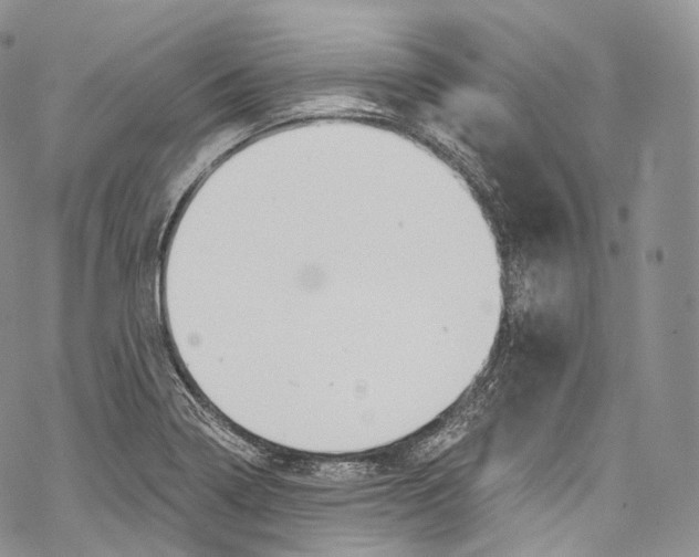 X0000069361322200606021443