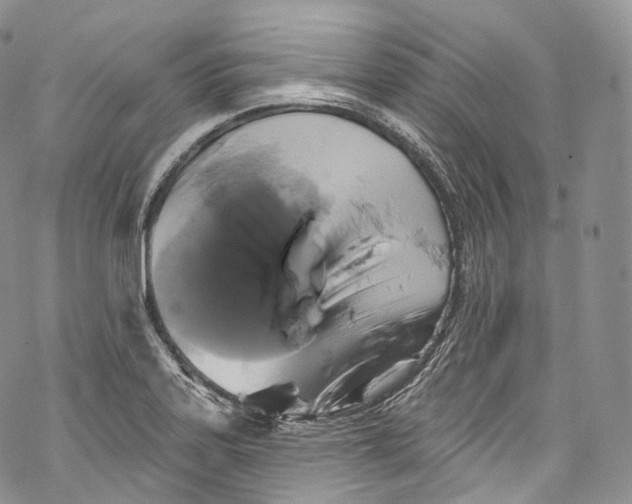 X0000069361323200606021443