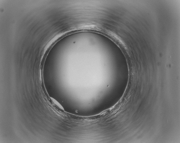 X0000069361324200606021443