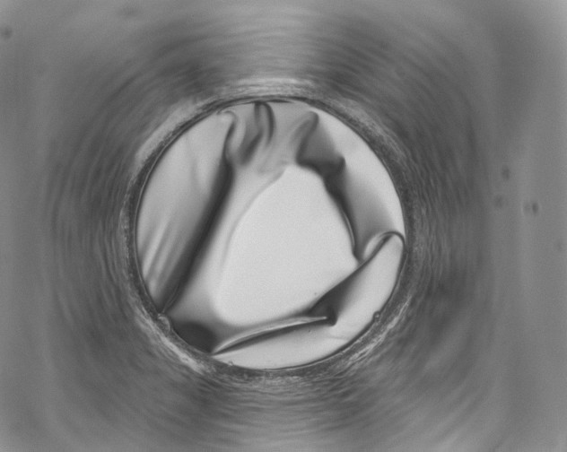 X0000069361325200606021443