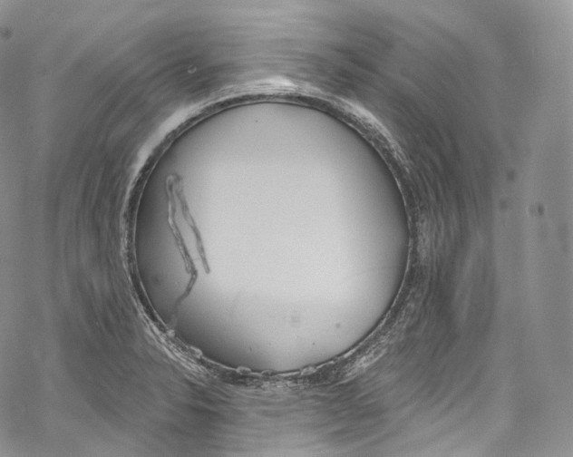 X0000069361326200606021443