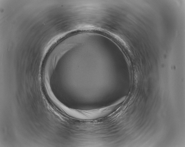 X0000069361327200606021443