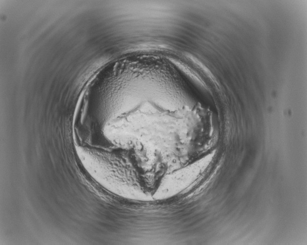 X0000069361329200606021443