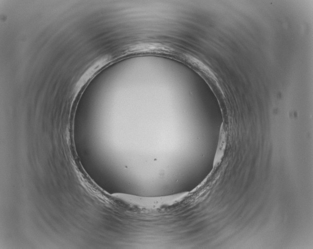 X0000069361330200606021443