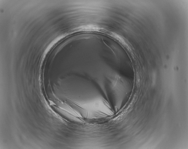 X0000069361331200606021443