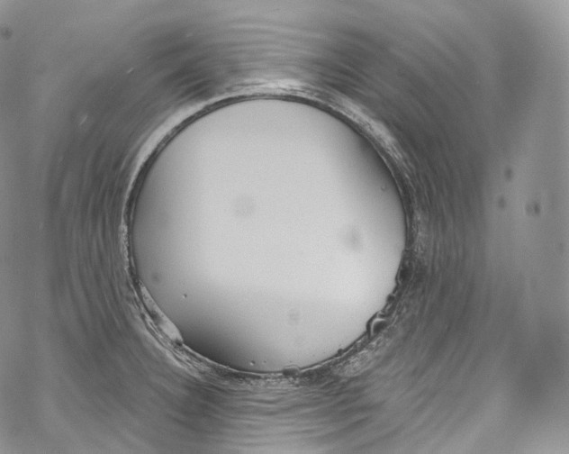 X0000069361332200606021443