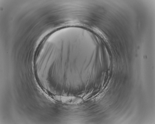 X0000069361334200606021443