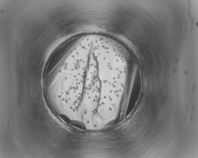 X0000069361335200606021443