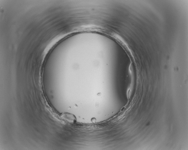 X0000069361336200606021443