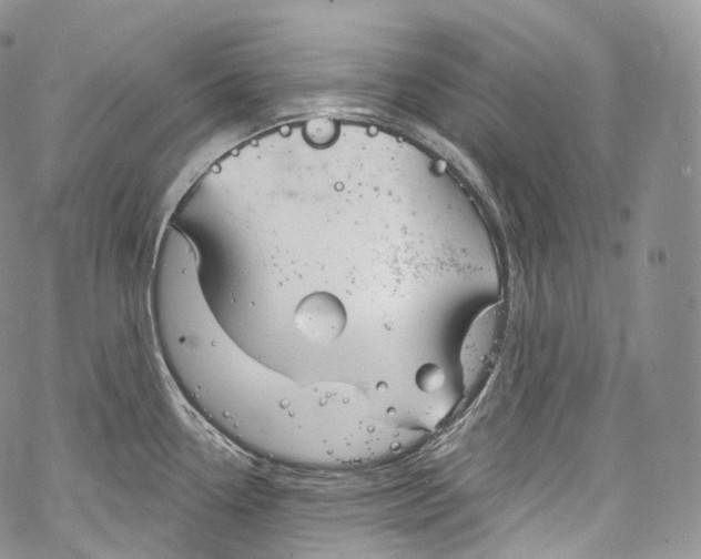 X0000069361338200606021443