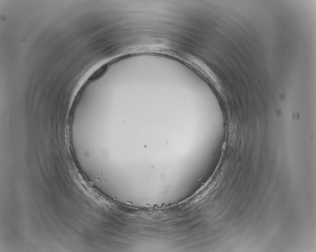 X0000069361340200606021443