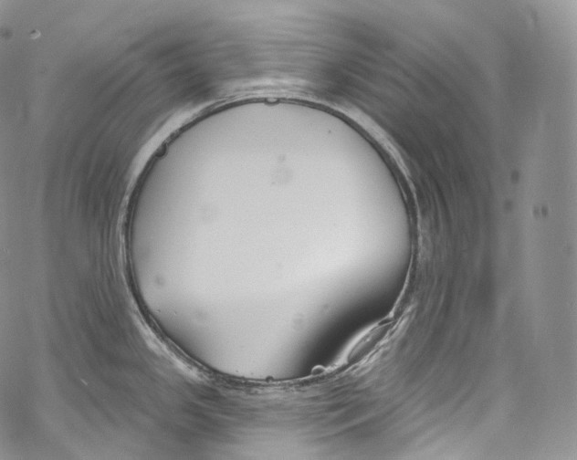 X0000069361341200606021443