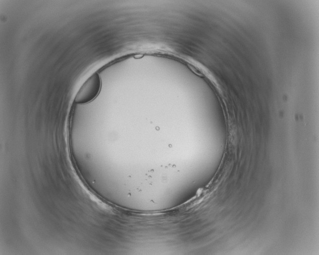 X0000069361343200606021443