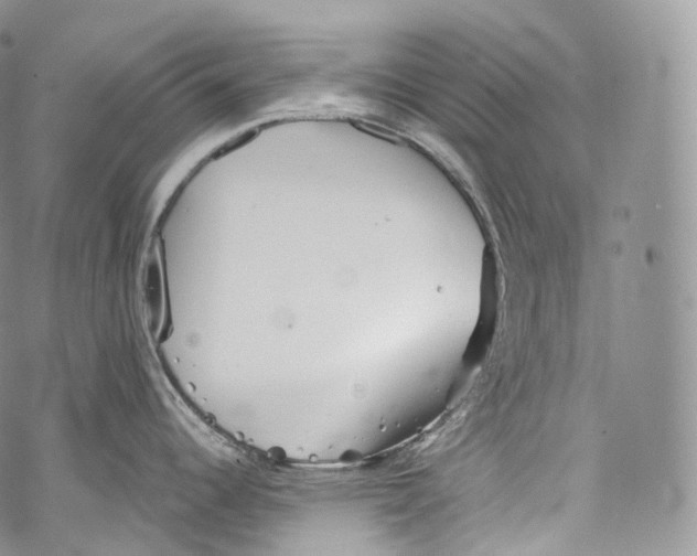 X0000069361344200606021443